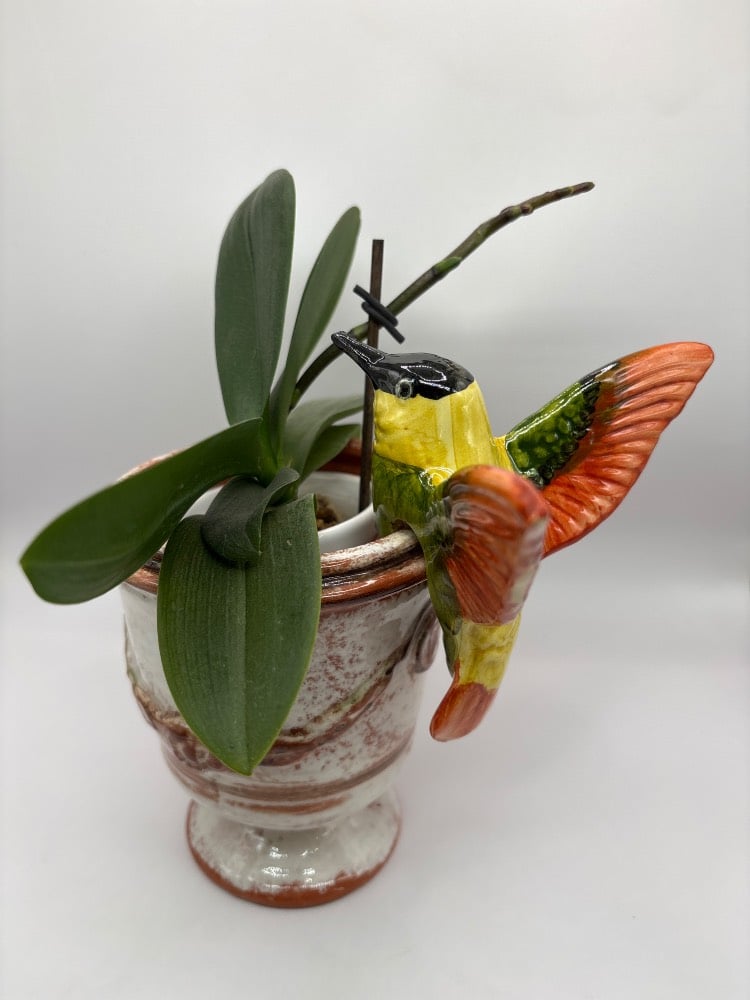 Handmade Ceramic Hummingbird Pot Hangers from Provence - Cera d'Art Garden Decor