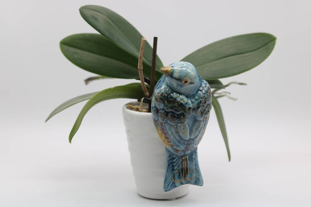 Handmade Ceramic Sparrow Bird Pot Hangers from Provence - Cera d'Art Garden Decor