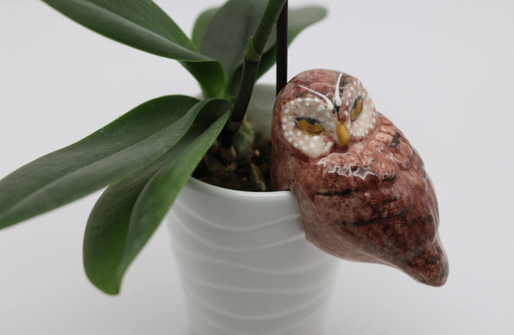 Brown Handmade Ceramic Owl Pot Hanger from Provence Cera d'Art French Garden Decor