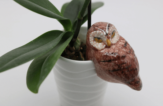 Brown Handmade Ceramic Owl Pot Hanger from Provence Cera d'Art French Garden Decor