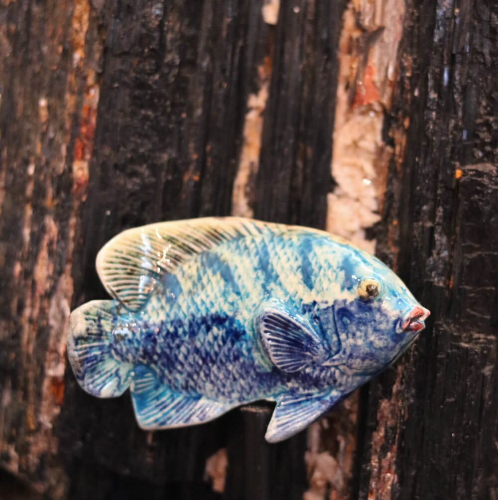 French Artisan Made Mediterranean Fish Magnets - Cera d'Art Coastal Sea Decor