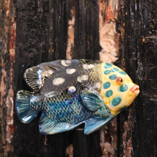 French Artisan Made Mediterranean Fish Magnets - Cera d'Art Coastal Decor