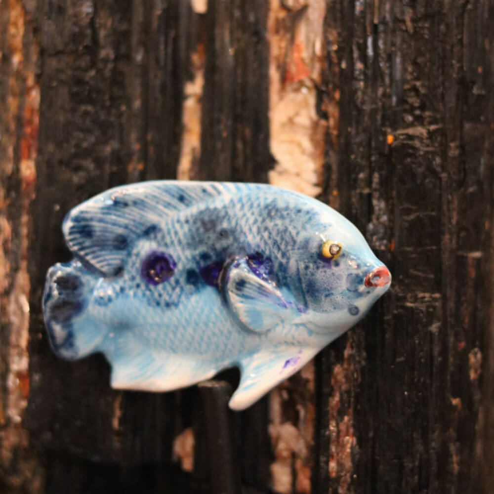 French Artisan Made Mediterranean Fish Magnets - Cera d'Art Coastal Sea Decor