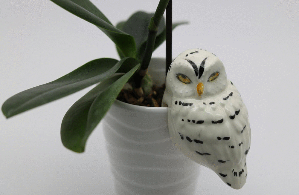 White Handmade Ceramic Owl Pot Hanger from Provence Cera d'Art French Garden Decor - Plant Hugger