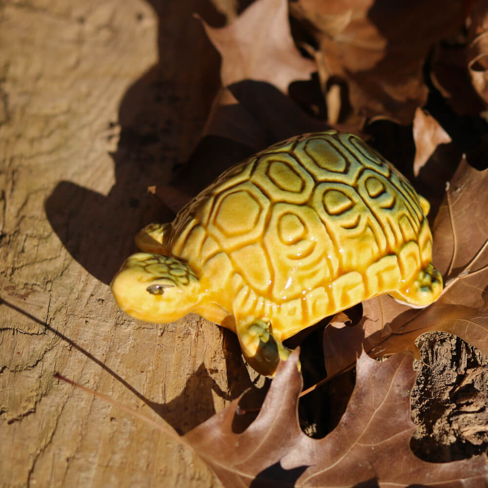 Yellow Handmade Ceramic Tortoises and Turtles from Provence - Cera d'Art Garden Decor