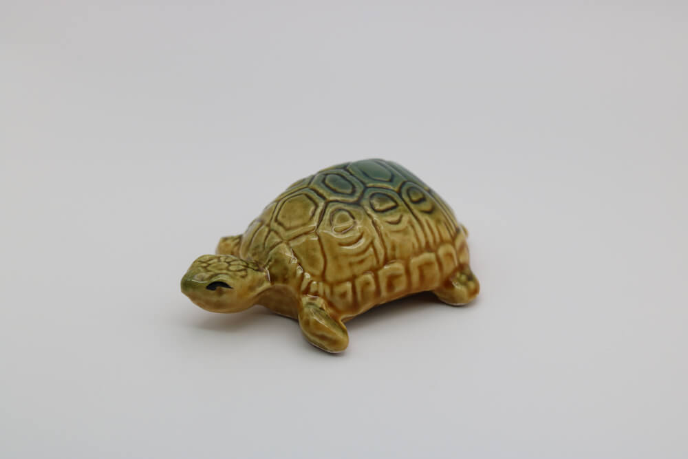 Honey Green Yellow Handmade Ceramic Tortoises and Turtles from Provence - Cera d'Art Garden Decor