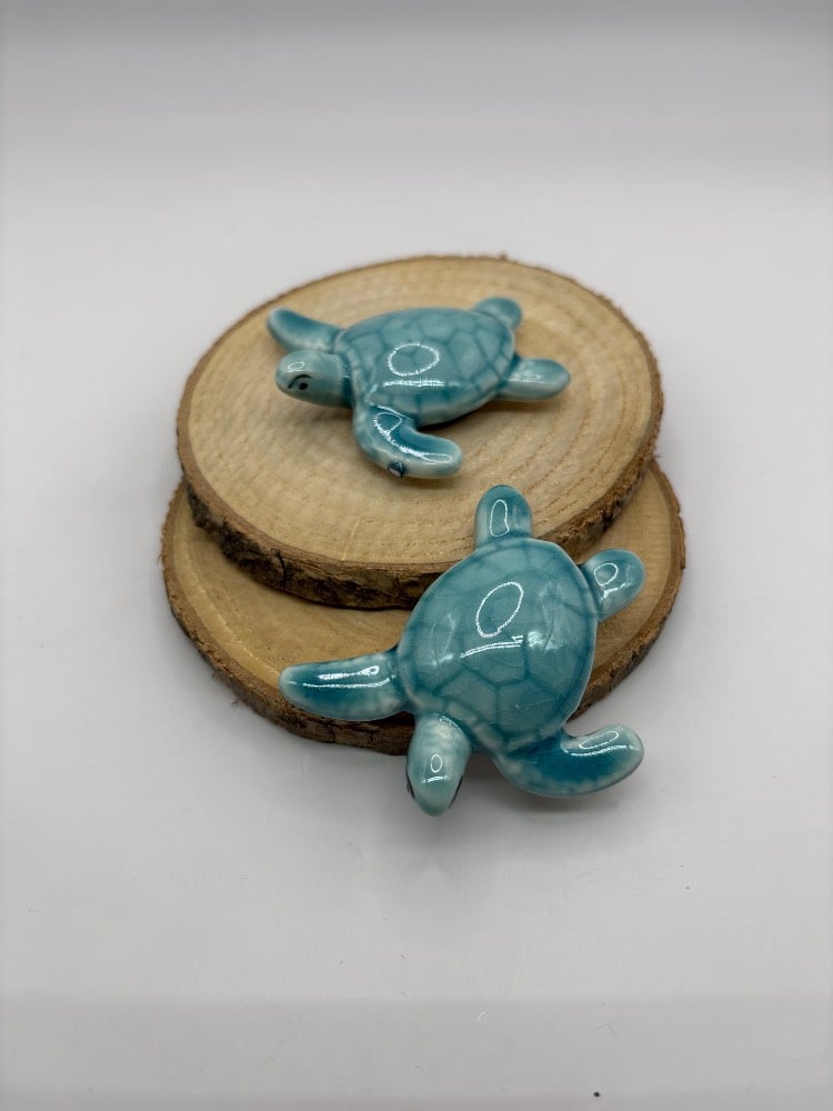 Handmade Mini Ceramic Sea Turtle Magnets from Provence - Cera d'Art Mediterranean Decor
