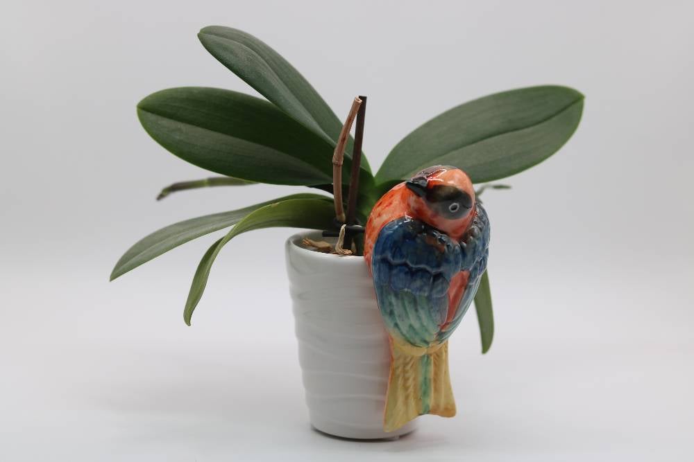 Handmade Ceramic Sparrow Bird Pot Hangers from Provence - Cera d'Art Garden Decor