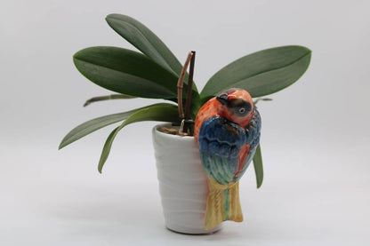 Handmade Ceramic Sparrow Bird Pot Hangers from Provence - Cera d'Art Garden Decor