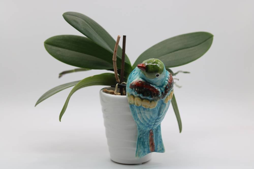 Handmade Ceramic Sparrow Bird Pot Hangers from Provence - Cera d'Art Garden Decor