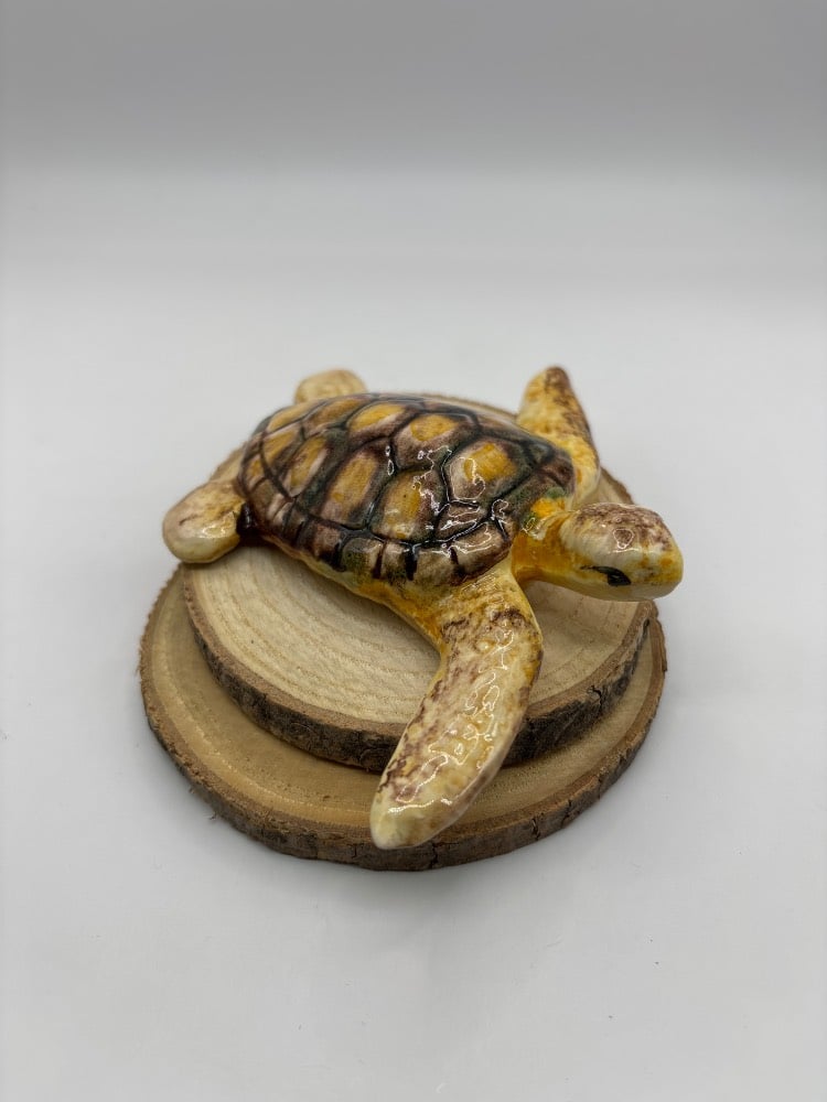 Handmade Ceramic Sea Turtles from Provence - Cera d'Art Mediterranean Decor