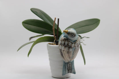 Handmade Ceramic Sparrow Bird Pot Hangers from Provence - Cera d'Art Garden Decor