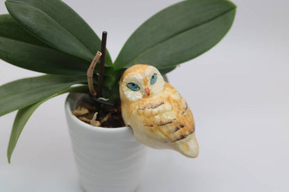 Handmade Ceramic Owl Pot Hangers from Provence - Cera d'Art Garden Decor