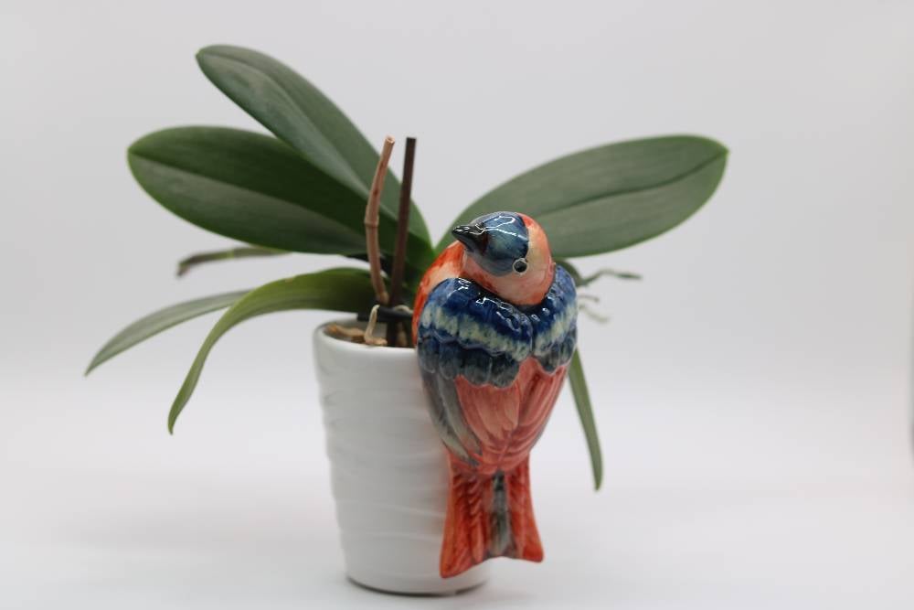 Handmade Ceramic Sparrow Bird Pot Hangers from Provence - Cera d'Art Garden Decor