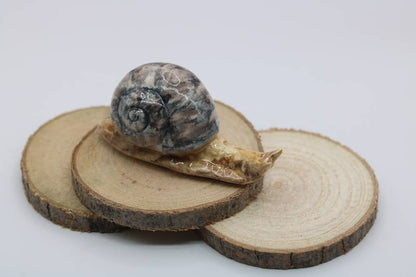 Handmade Ceramic Snails from Provence - Cera d'Art Whimsical Garden Decor