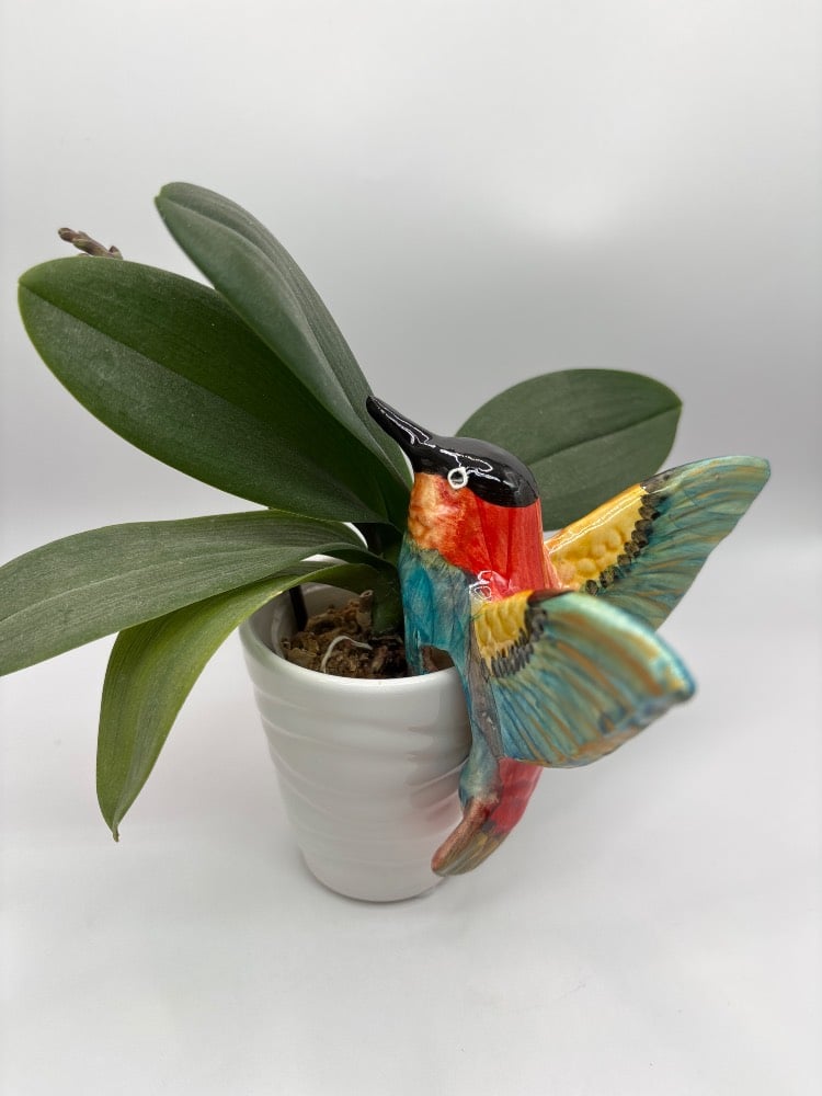 Handmade Ceramic Hummingbird Pot Hangers from Provence - Cera d'Art Garden Decor