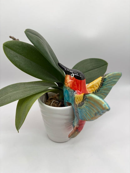 Handmade Ceramic Hummingbird Pot Hangers from Provence - Cera d'Art Garden Decor