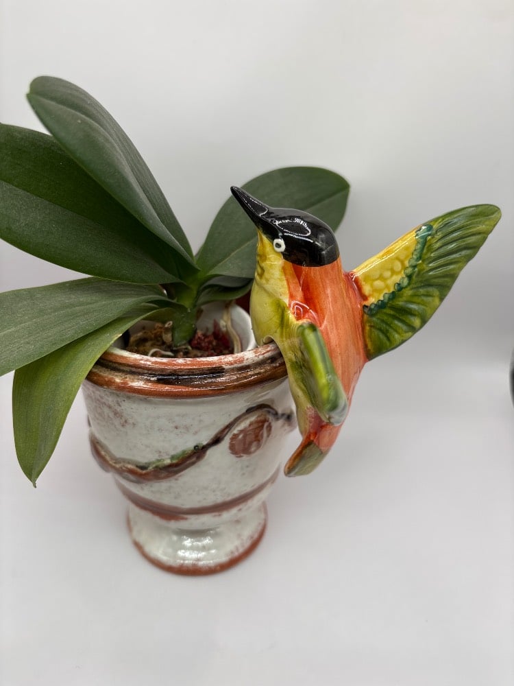 Handmade Ceramic Hummingbird Pot Hangers from Provence - Cera d