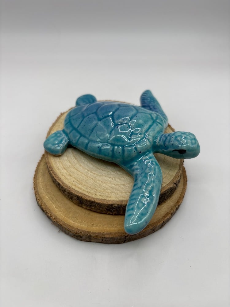 Handmade Ceramic Sea Turtles from Provence - Cera d'Art Mediterranean Decor