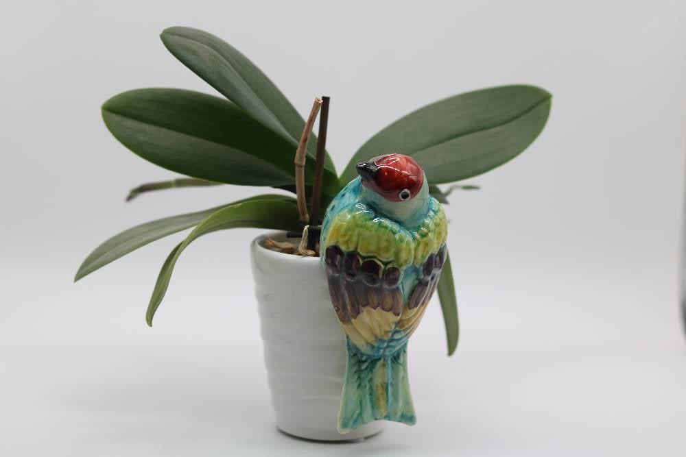 Handmade Ceramic Sparrow Bird Pot Hangers from Provence - Cera d'Art Garden Decor
