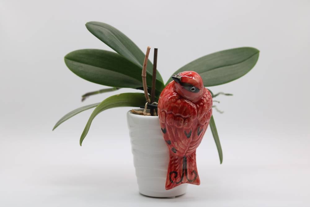 Handmade Ceramic Sparrow Bird Pot Hangers from Provence - Cera d'Art Garden Decor