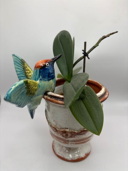 Handmade Ceramic Hummingbird Pot Hangers from Provence - Cera d'Art Garden Decor